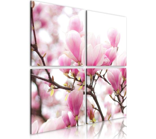 Tableau Magnolia Fleurissante 90 X 90 Cm Rose