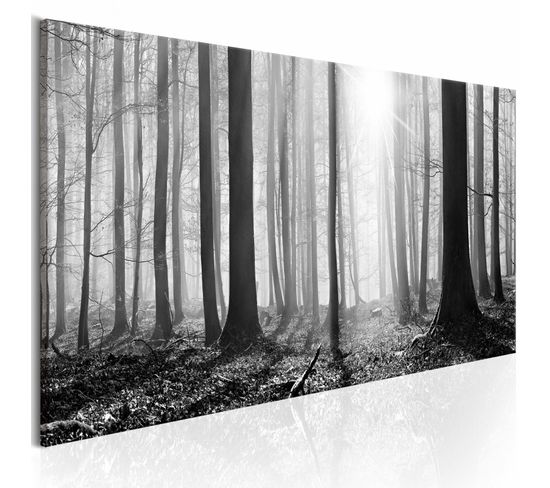 Tableau Forêt En Noir Et Blanc 120 X 40 Cm Noir