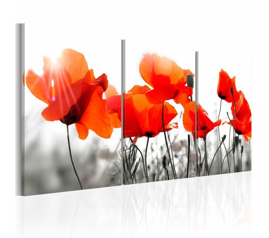 Tableau Coquelicots Charmants 120 X 60 Cm Rouge