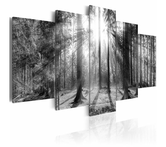 Tableau Forêt De Souvenirs 200 X 100 Cm Noir