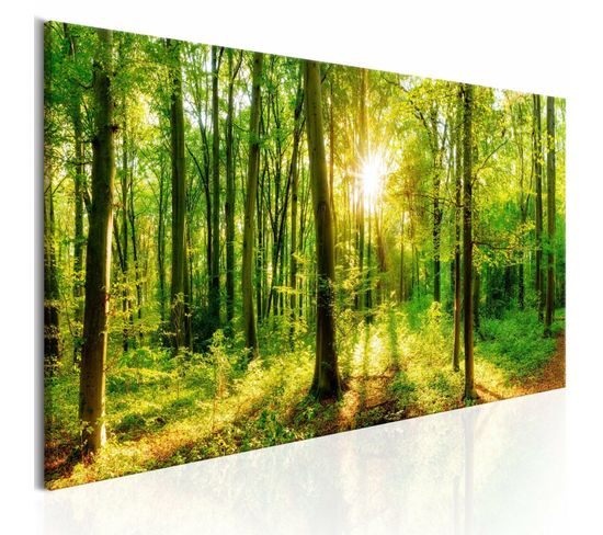 Tableau Magie Verte 120 X 40 Cm Vert