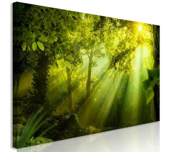 Tableau Au Soleil Étroit 150 X 50 Cm Vert