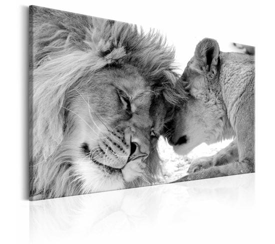 Tableau L'amour Du Lion 60 X 40 Cm Blanc