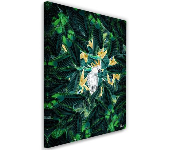 Tableau Image De Cacatoès XXL Tropical 40 X 60 Cm Vert