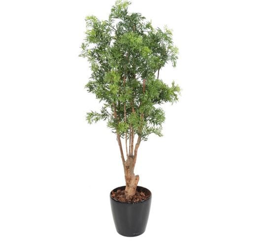 Plante artificielle haute gamme Spécial extérieur Aralia, coloris vert - Dim : 165 x 80 cm