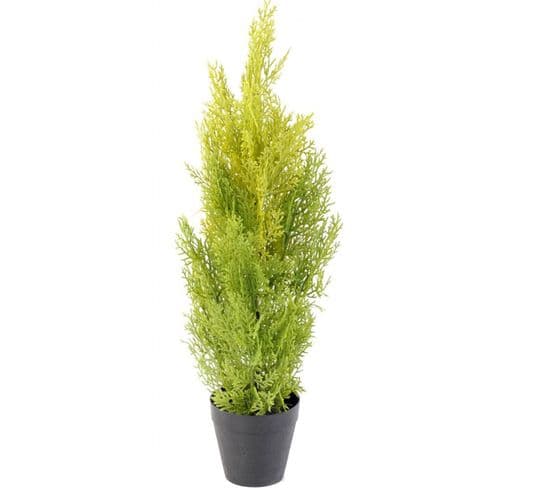 Plante Artificielle Haute Gamme Spécial Extérieur/cyprès Artificiel Coloris Vert/jaune - 60 X 20 Cm