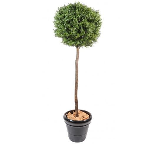 Plante Artificielle / Eucalyptus Artificiel Boule - Dim : 110 x 45 cm