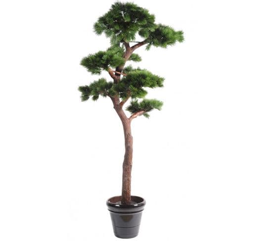 Plante artificielle haute gamme Spécial extérieur / PIN artificiel BONSAI UV - Dim : 220 x 120 cm