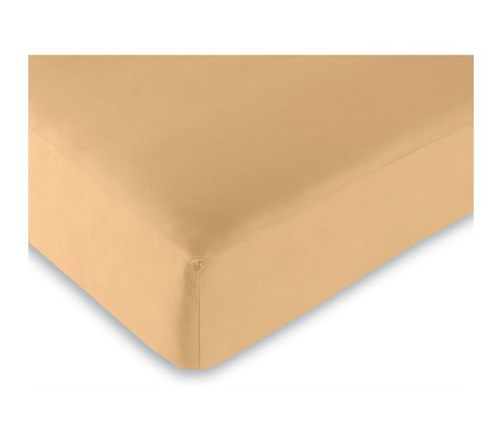 Drap Housse 57 Fils/cm² - Taupe - 90 X 190 Cm