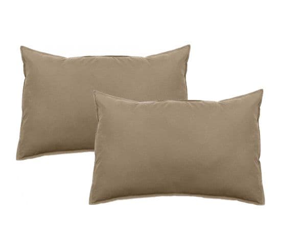 Lot De 2 Taies D’oreiller  Pur Coton Teint Lavé 63 Fils/cm² Vent Du Sud -  Camel - 50 X 70 Cm