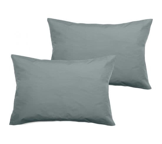 Lot De 2 Taies D'oreiller Percale Pur Coton 80 Fils/cm² - Lichen - 50 X 70 + 5 Cm Volant Plat Piqué