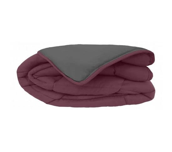 Couette Chaude Bicolore Gamme Microfibre - Toison D'or - Cocoon Prune Acier - 200 X 200 Cm