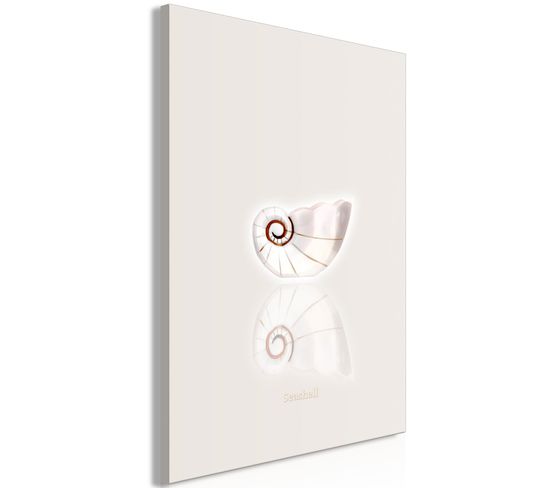 Tableau Ceramic Shell Vertical 40 X 60 Cm Blanc