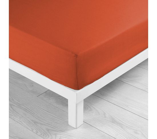 Drap Housse Coton 57 Fils 180 X 200 Cm Paprika