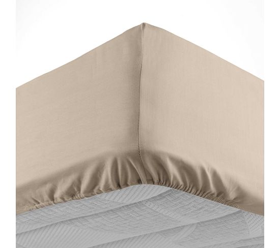 Drap Housse 90 X 190 Cm Couleur Emotion Sable