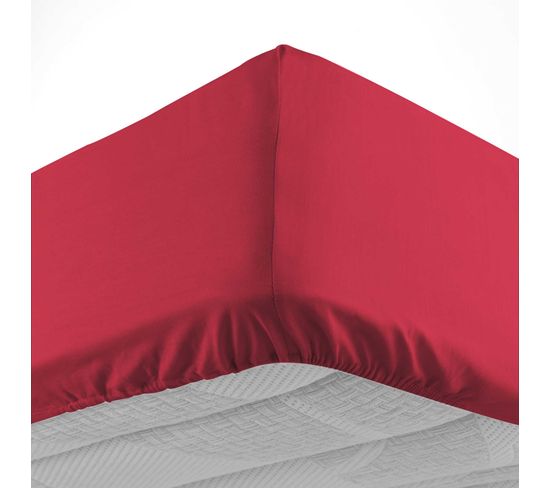 Drap Housse 90 X 190 Cm Couleur Emotion Rouge Marsala