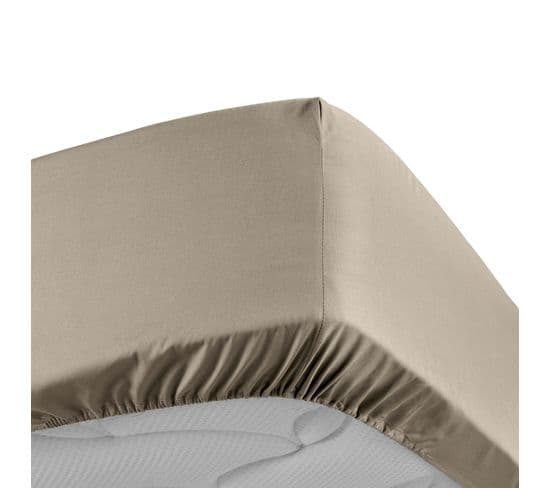 Drap Housse 90 X 190 Cm Percale De Coton Sable