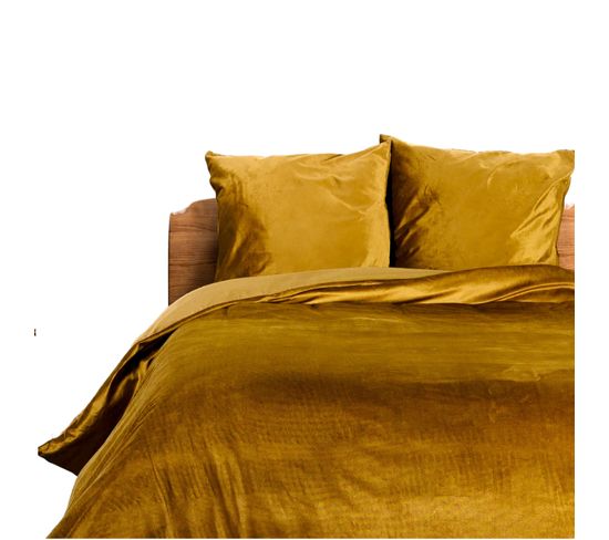 Housse De Couette + 2 Taies 220 X 240 Cm Velours Ocre