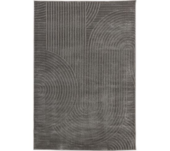 Tapis De Salon Motif Demi Arc Gris Bloom 120x170