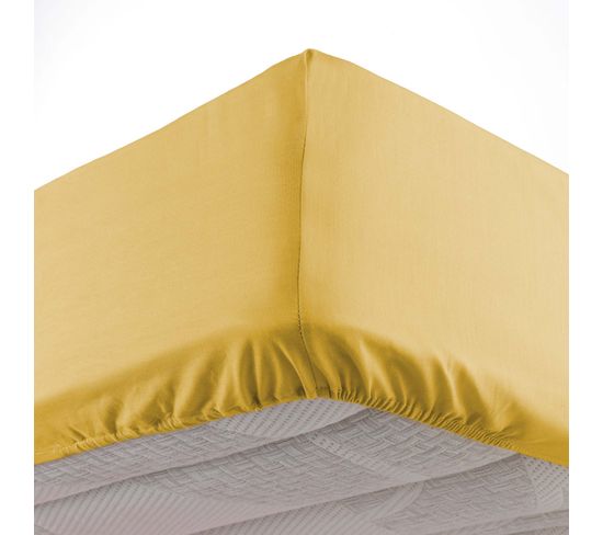 Drap Housse 90x190cm Oscard Jaune