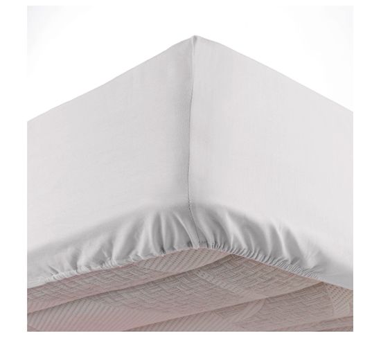 Drap Housse Coton Lave 140 X 190 Cm Lanette Blanc