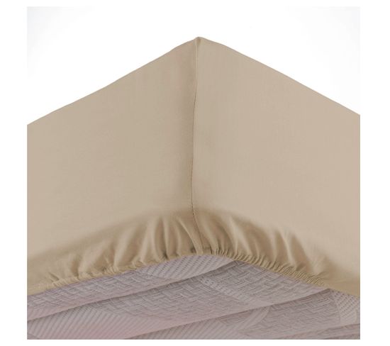 Drap Housse Coton Lave 140 X 190 Cm Lanette Lin