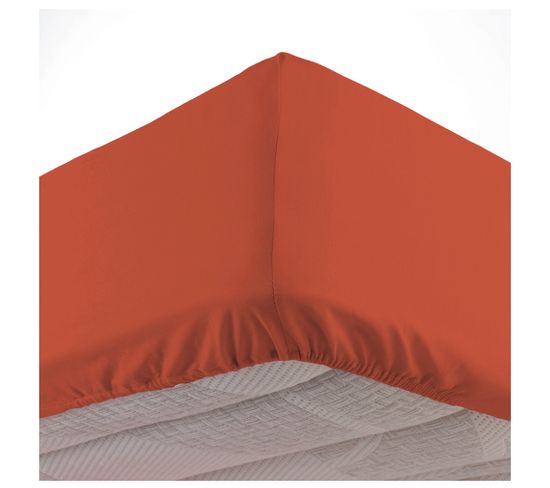 Drap Housse Coton Lave 140 X 190 Cm Lanette Terracotta