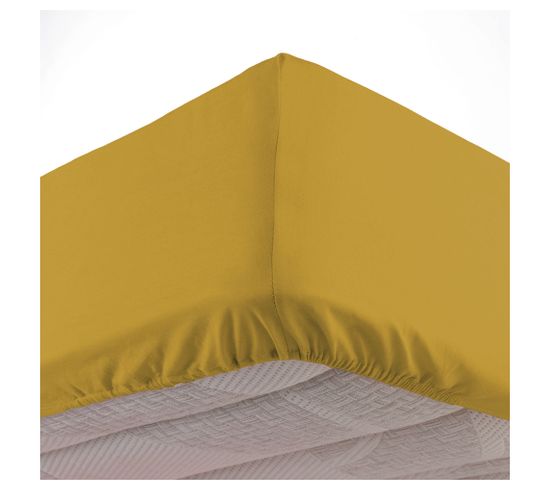 Drap Housse Coton Lave 140 X 190 Cm Lanette Jaune