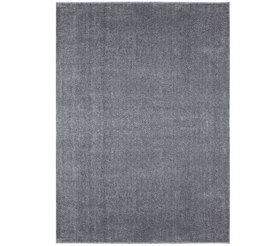 Tapis Uni De Salon Chambre Relax Sobre Et Epuré - Gris Foncé 120 X 170 Cm