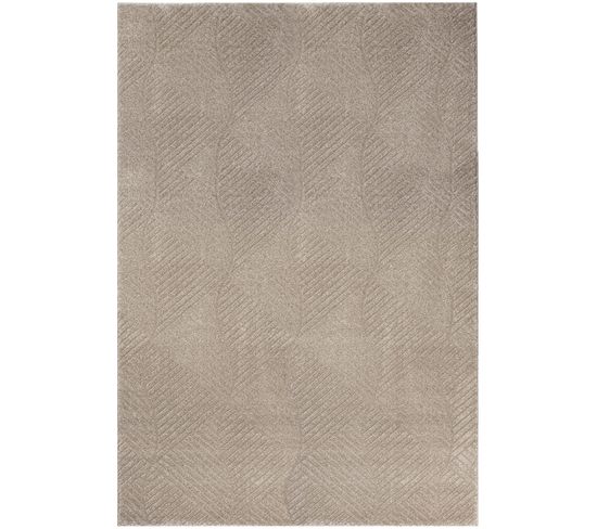 Tara - Tapis De Salon à Relief Géométrique Couleur Uni Beige 120x160cm