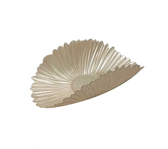 Coupe Decorative Vanille 43x25cm