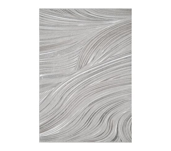 Tapis Gris Argenté - Dubai 67 Gris - 200x290 Cm