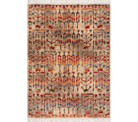 Tapis Oriental - Otika 66 Multicolore - 160x230 Cm