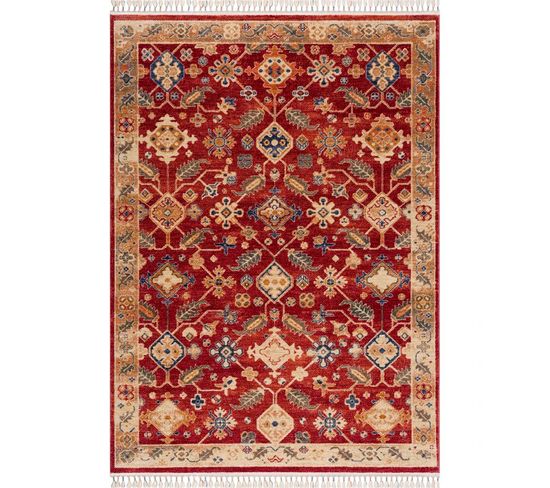 Tapis Oriental Rouge - Otika 31 Rouge - 200x290 Cm