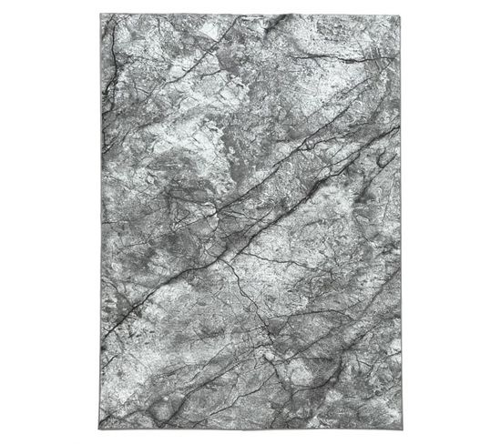 Tapis Marbre Gris Dakota 04 Gris - 160x230 Cm