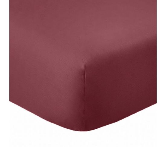 Drap Housse 200x200 +35 Cm 100% Coton 57 Fils Cerise