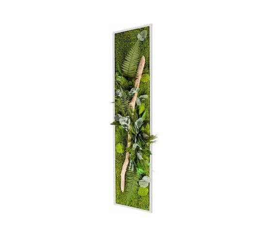 Tableau Végétal Nature Xl Avec Plantes Stabilisées 40 x 140 cm