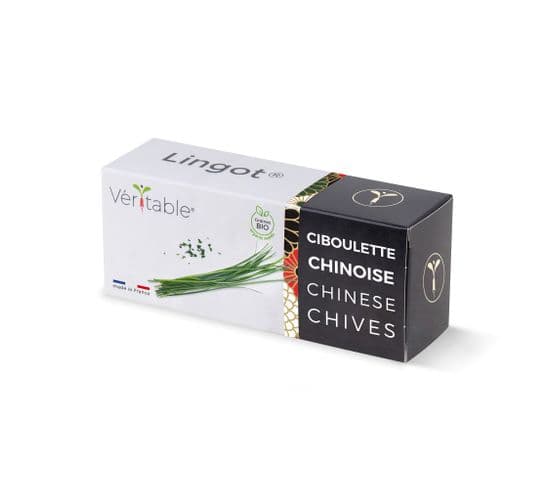 Lingot Ciboulette Chinoise Bio - Recharge Prête à L'emploi