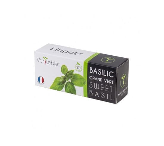 Lingot De Basilic Grand Vert Bio