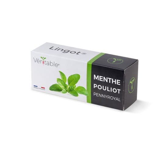 Lingot Menthe Pouliot - Recharge Prête à L'emploi