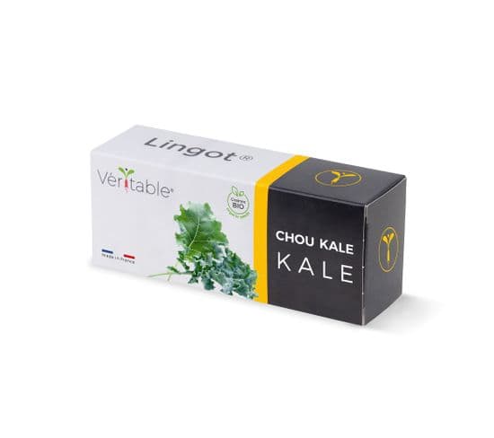 Lingot Chou Kale Bio - Recharge Prête à L'emploi
