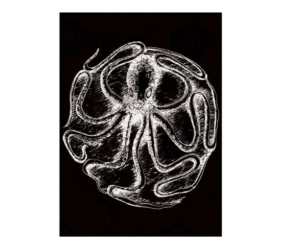 Curiosity - Signature Poster - Octopus - 40x60 Cm