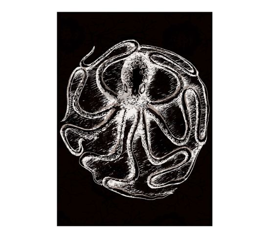 Curiosity - Signature Poster - Octopus - 21x30 Cm