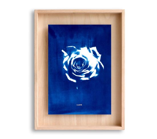 Cadre Carpë Cyanotype Rose 40x30cm Bleu