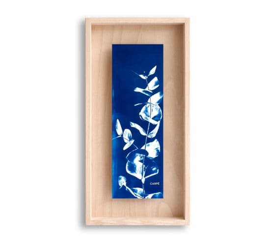 Cadre Carpë Cyanotype Eucalytus 40x20cm Bleu