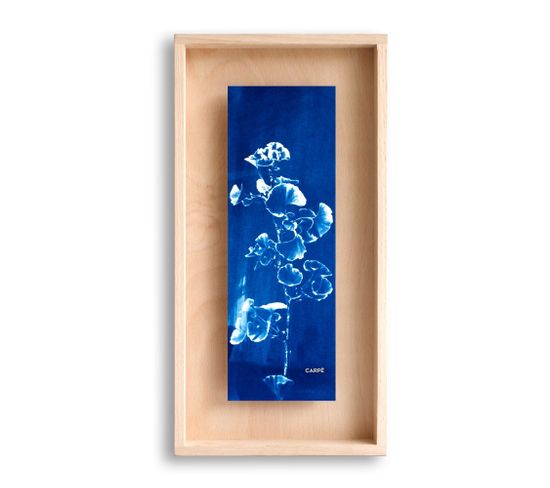 Cadre Carpë Cyanotype Gingko 40x20cm Bleu