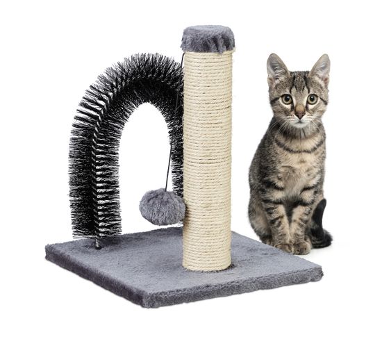 Arche Pour Chat Avec Griffoir