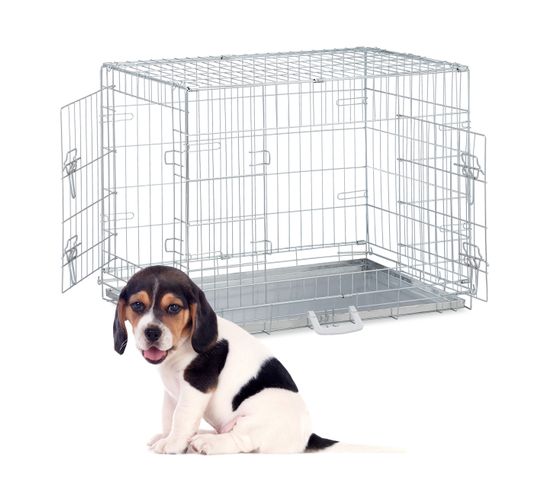 Cage Pliable Avec Fond Pour Chien