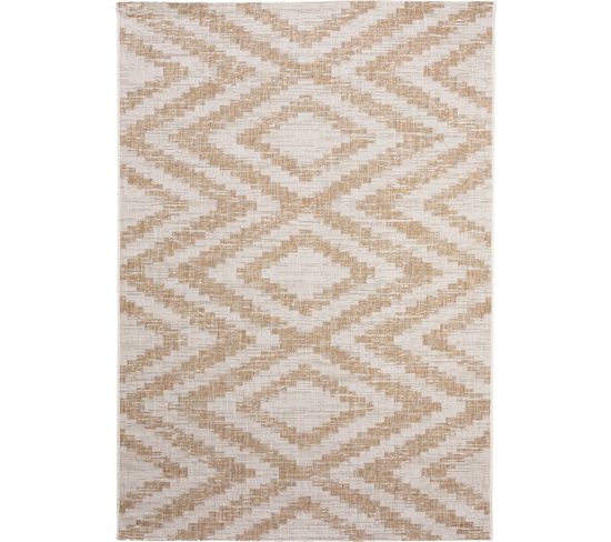 Tapis D'extérieur et Intérieur Cleo Crème/beige 120x170 Cm