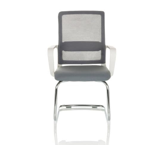 Chaises Cantilever Visiter W Gris